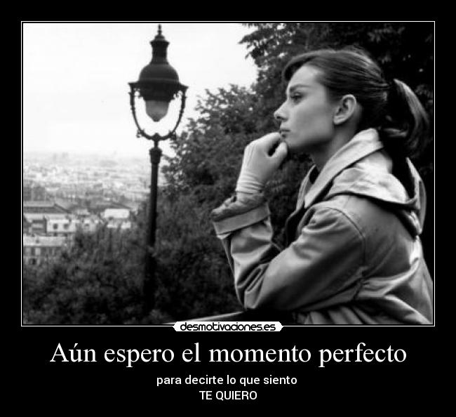 carteles quiero desmotivaciones