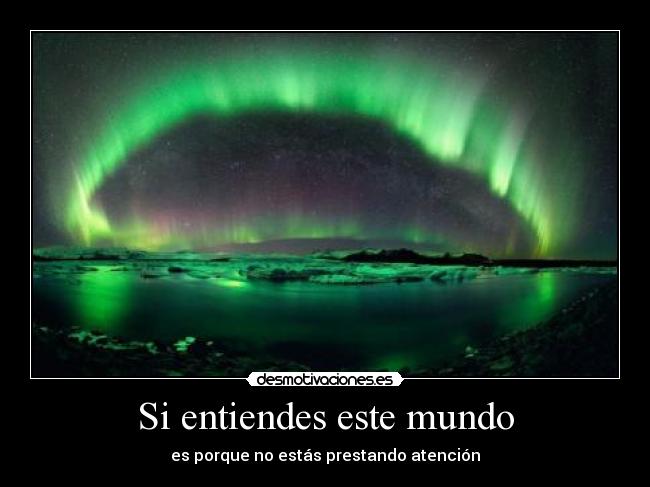 Si entiendes este mundo - es porque no estás prestando atención