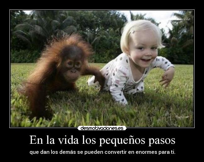 carteles vida cabeza princicola aprende los demas que puedas aprender por mismo desmotivaciones