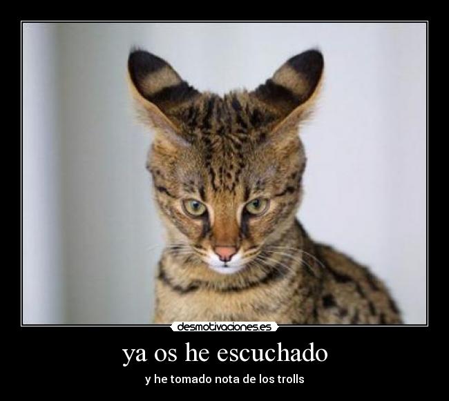 carteles gatito lindo desmotivaciones