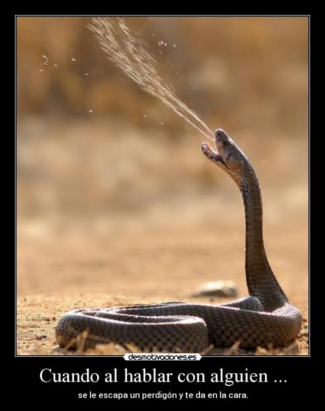 Cuando al hablar con alguien ... - 