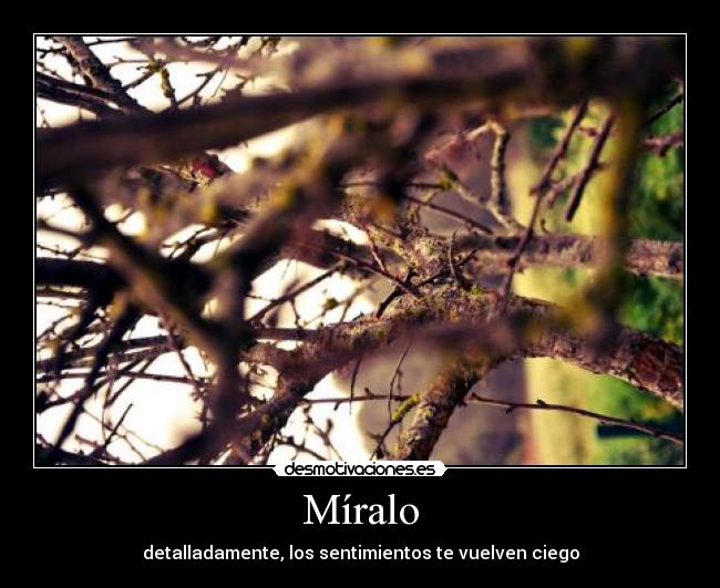 Míralo - detalladamente, los sentimientos te vuelven ciego