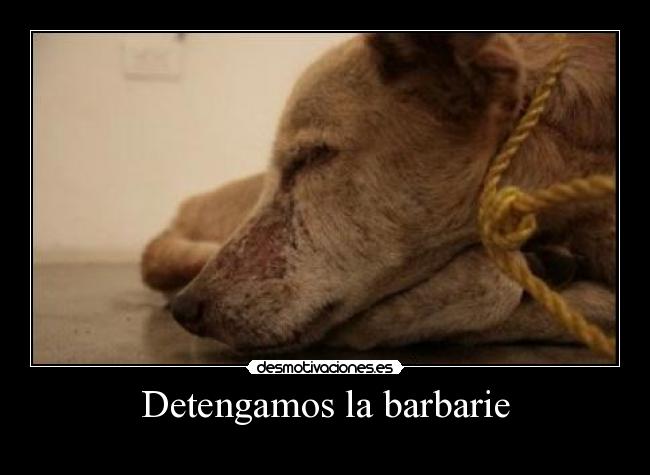Detengamos la barbarie - 