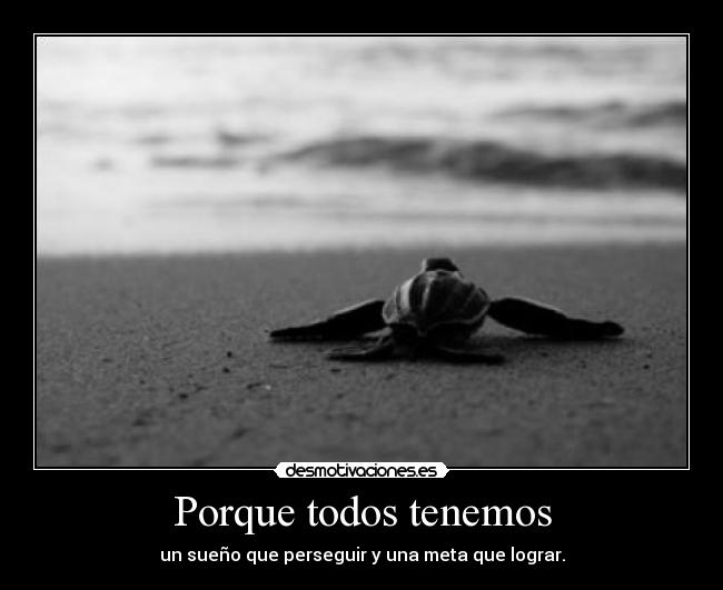 Porque todos tenemos - un sueño que perseguir y una meta que lograr.