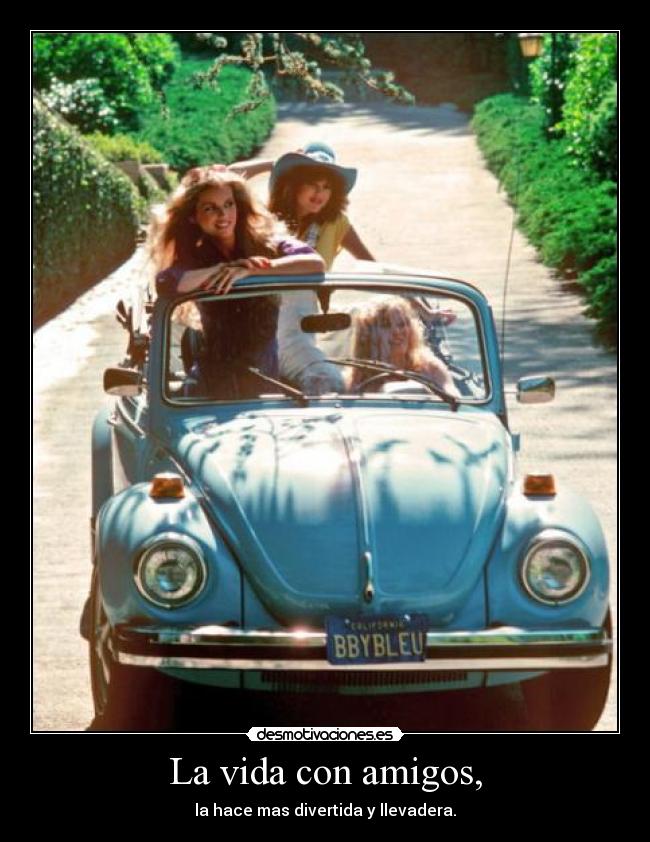 La vida con amigos, - la hace mas divertida y llevadera.