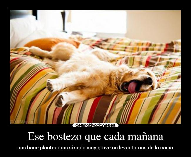 Ese bostezo que cada mañana - nos hace plantearnos si sería muy grave no levantarnos de la cama.