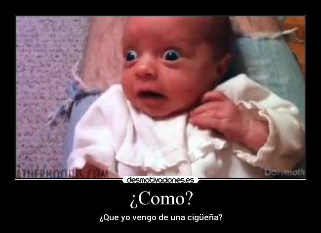 ¿Como? -
