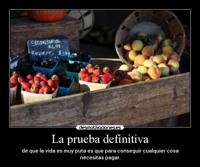 La prueba definitiva - de que la vida es muy puta es que para conseguir cualquier cosa necesitas pagar.