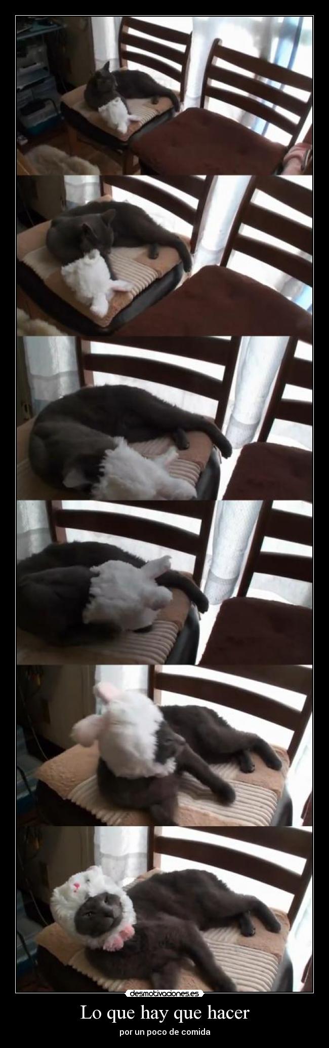 Lo que hay que hacer - 