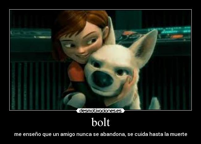 bolt - me enseño que un amigo nunca se abandona, se cuida hasta la muerte