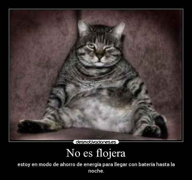 No es flojera - estoy en modo de ahorro de energía para llegar con batería hasta la noche.