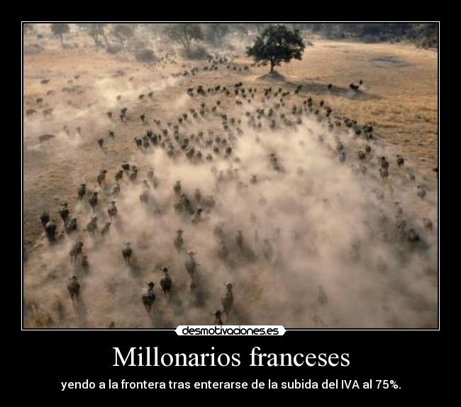 Millonarios franceses - 