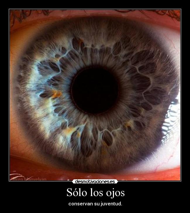 Sólo los ojos - 