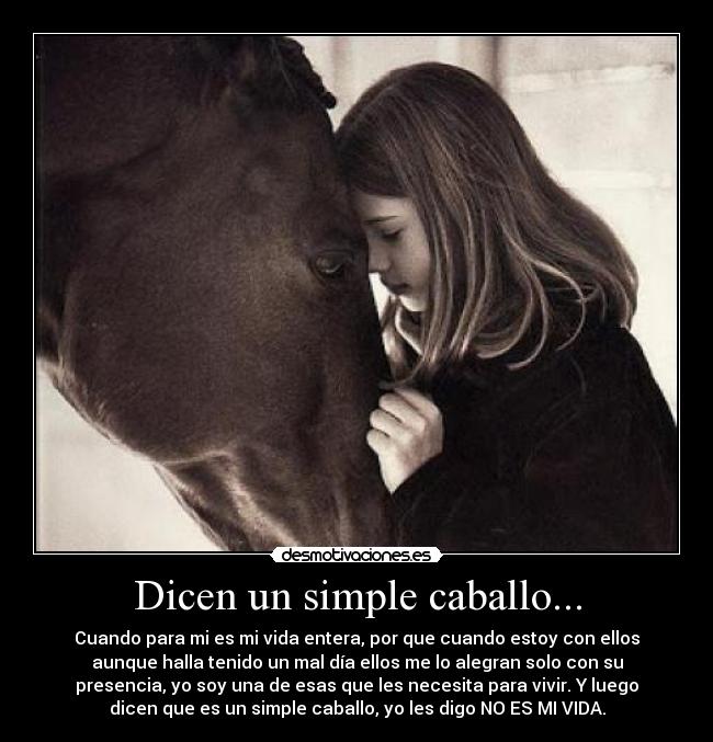 Dicen un simple caballo... -