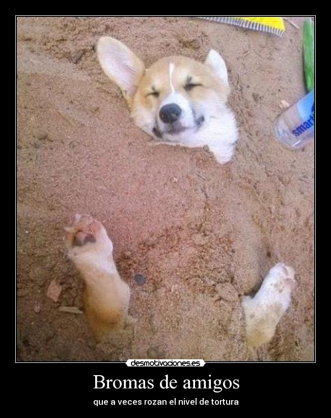 Bromas de amigos - 