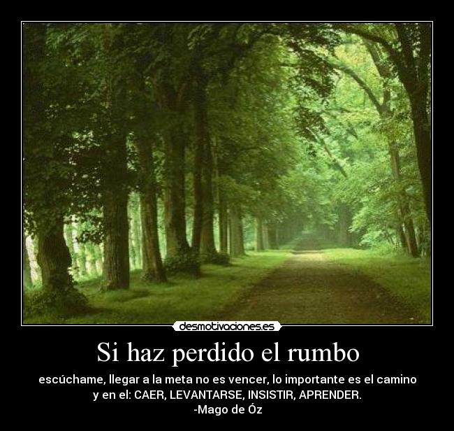 Si haz perdido el rumbo - escúchame, llegar a la meta no es vencer, lo importante es el camino
y en el: CAER, LEVANTARSE, INSISTIR, APRENDER.
-Mago de Óz