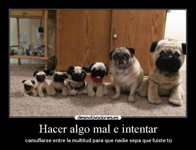 Hacer algo mal e intentar - 