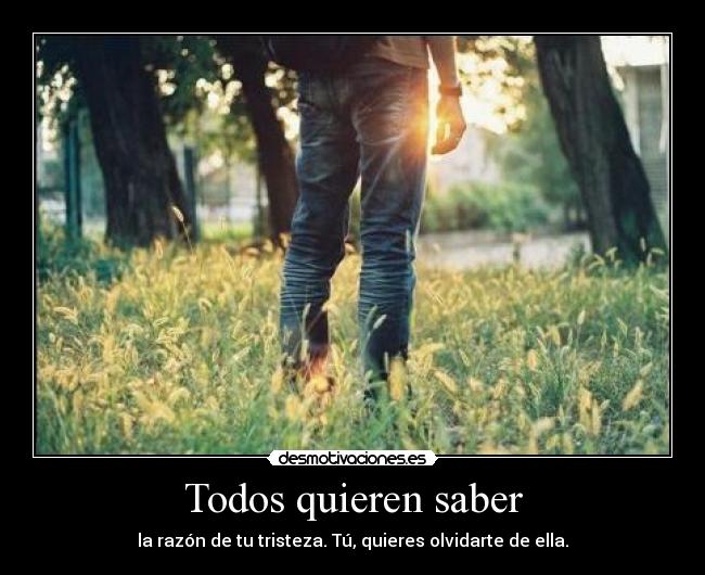 carteles todos desmotivaciones