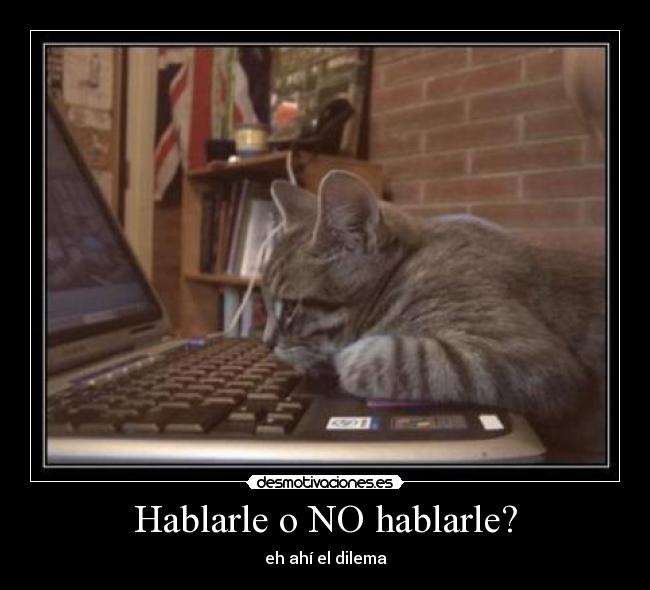 Hablarle o NO hablarle? -