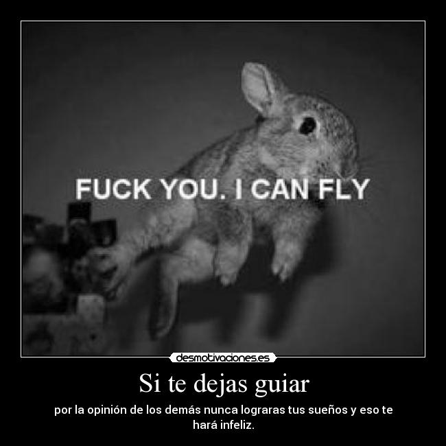 Si te dejas guiar - por la opinión de los demás nunca lograras tus sueños y eso te hará infeliz.