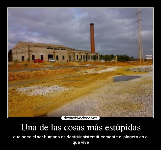 Una de las cosas más estúpidas -