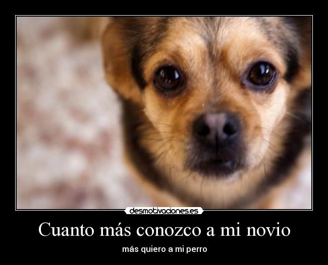 Cuanto más conozco a mi novio -