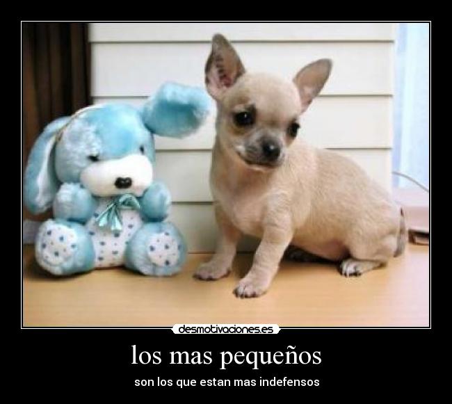 los mas pequeños - son los que estan mas indefensos