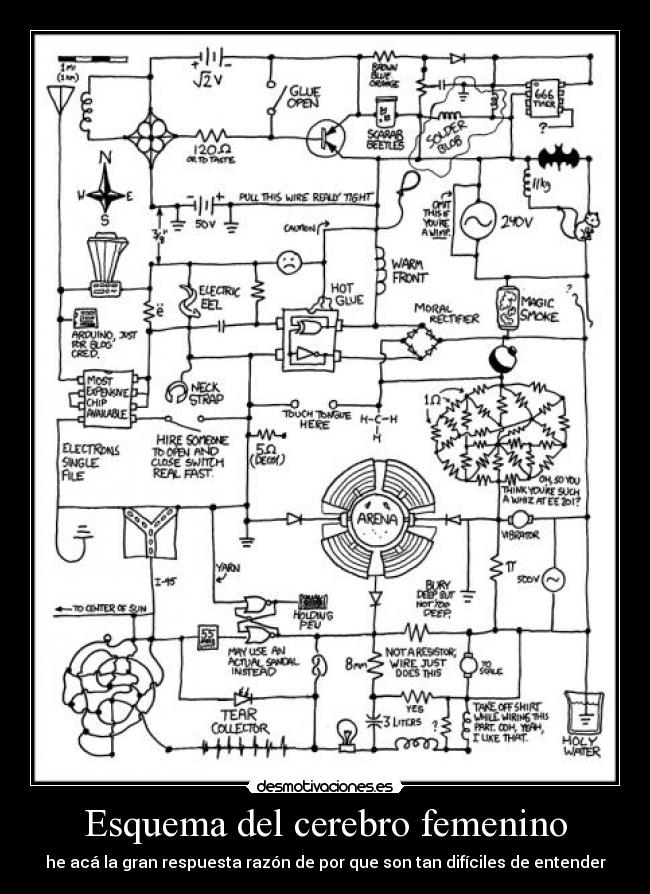 Esquema del cerebro femenino - he acá la gran respuesta razón de por que son tan difíciles de entender