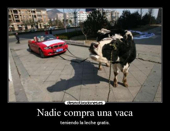 Nadie compra una vaca - teniendo la leche gratis.