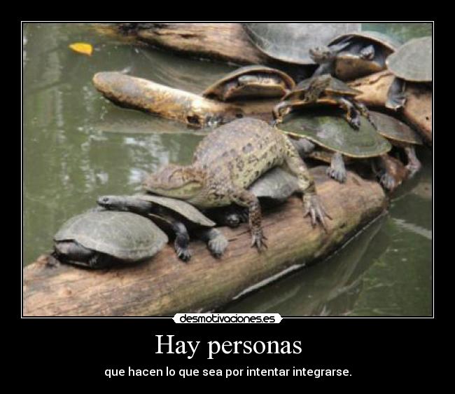Hay personas - 