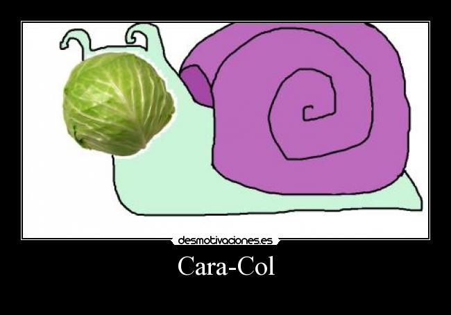 Cara-Col - 