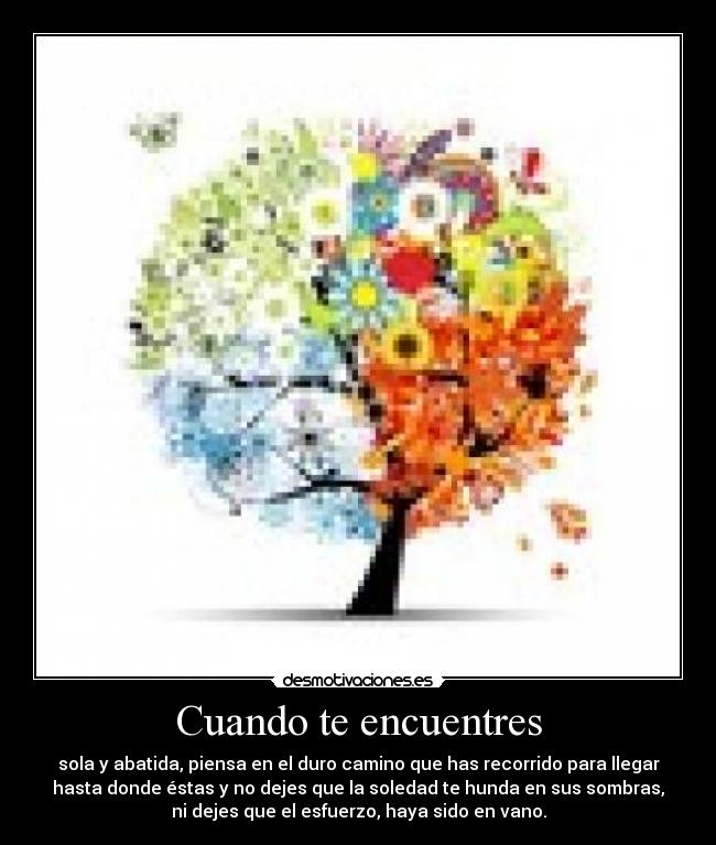 Cuando te encuentres - sola y abatida, piensa en el duro camino que has recorrido para llegar
hasta donde éstas y no dejes que la soledad te hunda en sus sombras,
ni dejes que el esfuerzo, haya sido en vano.