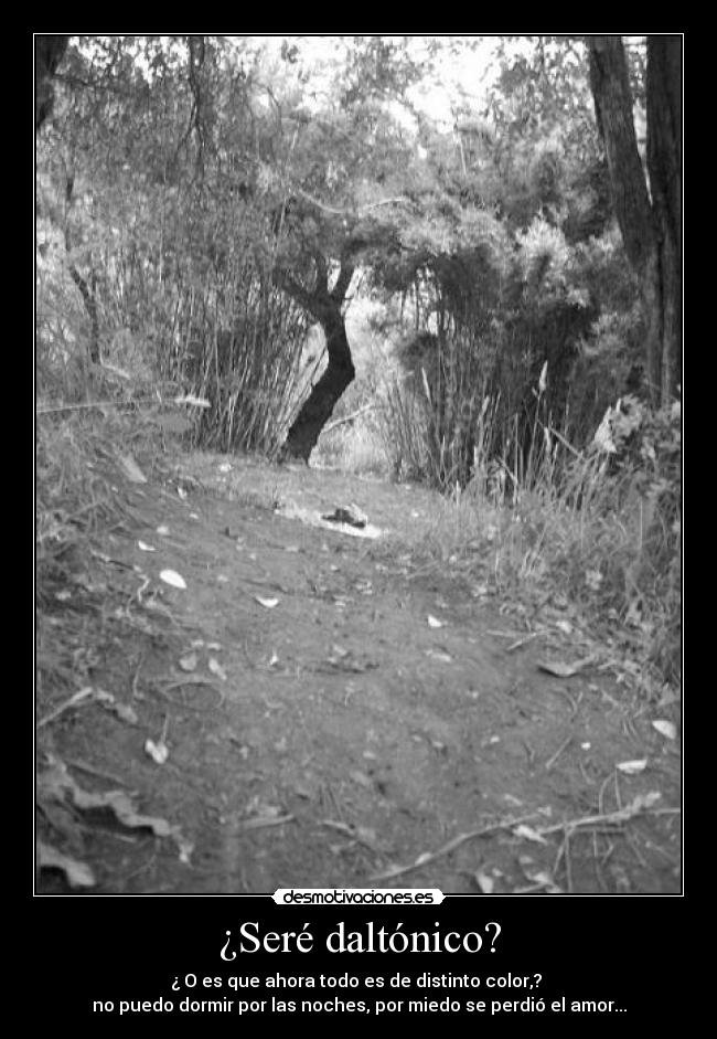 ¿Seré daltónico? - ¿ O es que ahora todo es de distinto color,?
no puedo dormir por las noches, por miedo se perdió el amor...