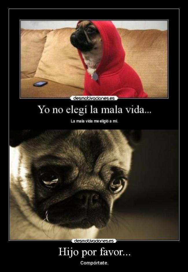 carteles bueno bueno bueno vamos poner algo que tiene nada que ver patata desmotivaciones