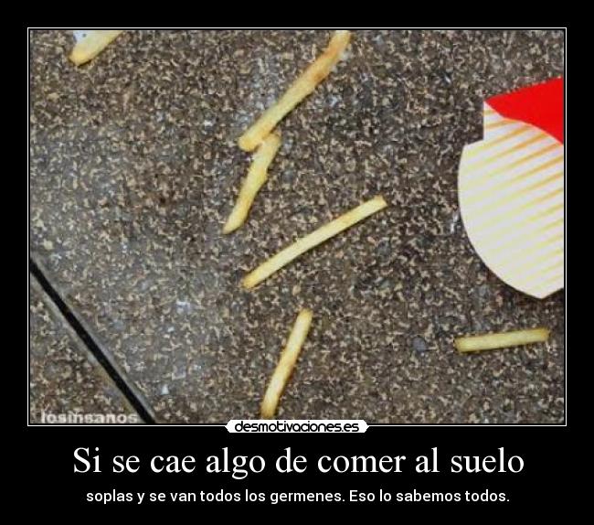 Si se cae algo de comer al suelo - soplas y se van todos los germenes. Eso lo sabemos todos.