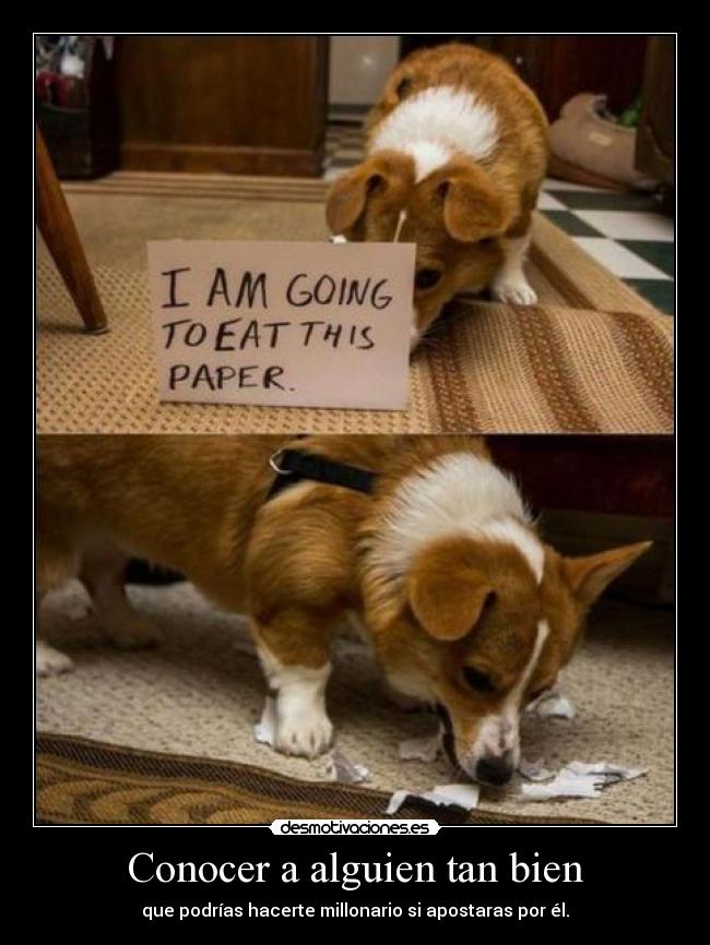 Conocer a alguien tan bien - que podrías hacerte millonario si apostaras por él.