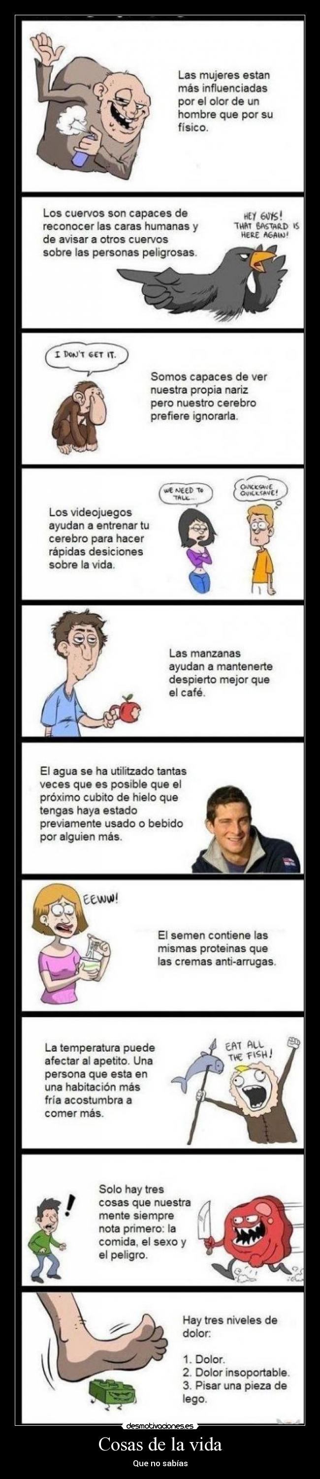 Cosas de la vida - Que no sabías