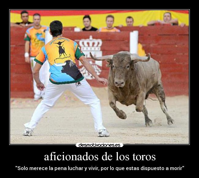 aficionados de los toros - Solo merece la pena luchar y vivir, por lo que estas dispuesto a morir