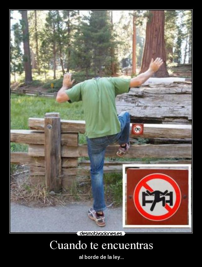 carteles pacoka teamhalerjia whatska zdfjhddg desmotivaciones