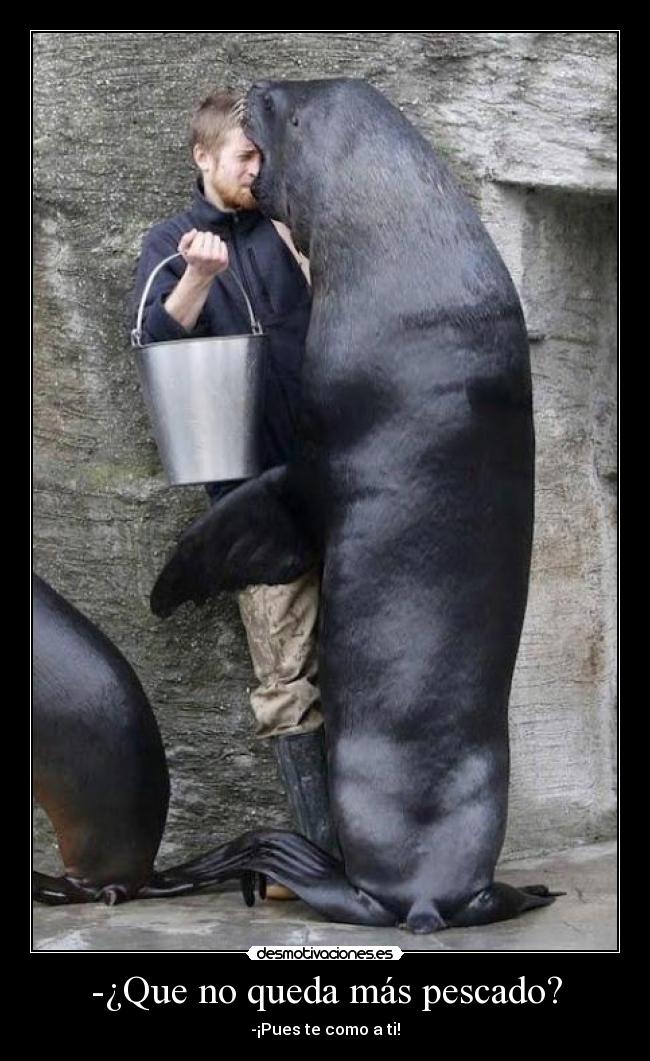 -¿Que no queda más pescado? - -¡Pues te como a ti!