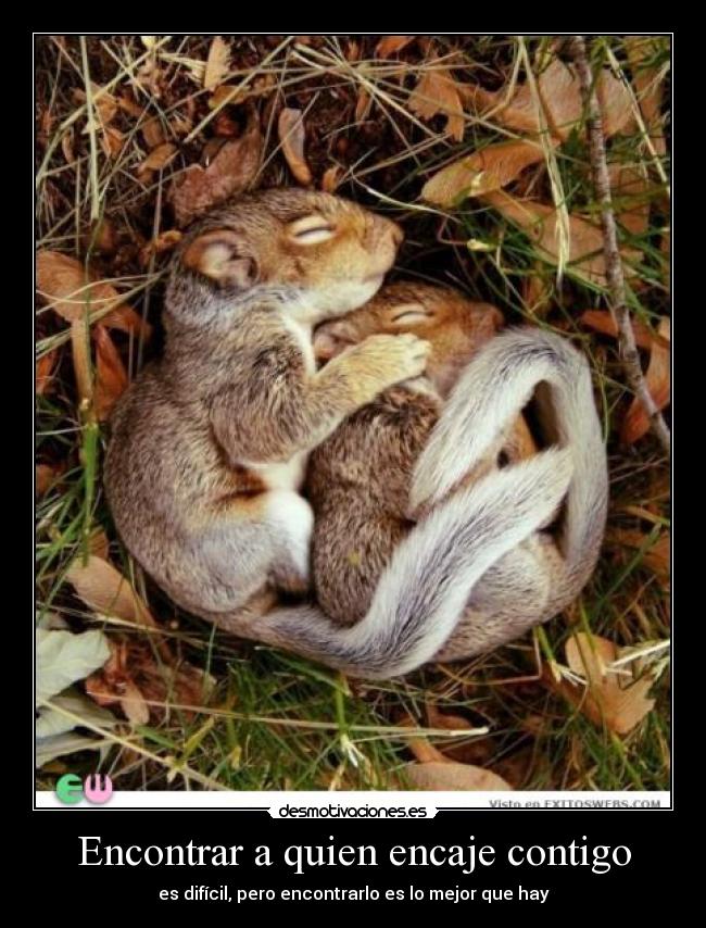 Encontrar a quien encaje contigo - 