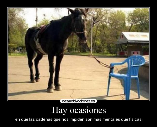 Hay ocasiones -