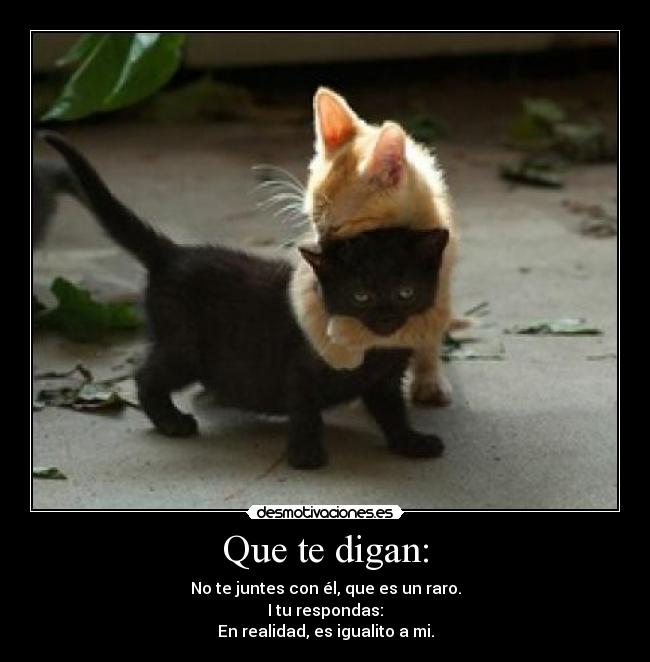 Que te digan: - No te juntes con él, que es un raro.
I tu respondas:
En realidad, es igualito a mi.