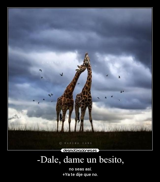 -Dale, dame un besito, - no seas así.
+Ya te dije que no.