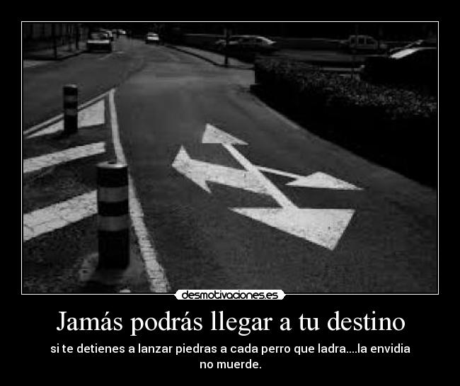Jamás podrás llegar a tu destino - si te detienes a lanzar piedras a cada perro que ladra....la envidia no muerde.