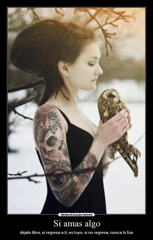 carteles andres92 cartel rasta veinticinco quiero princi rastafari desmotivaciones