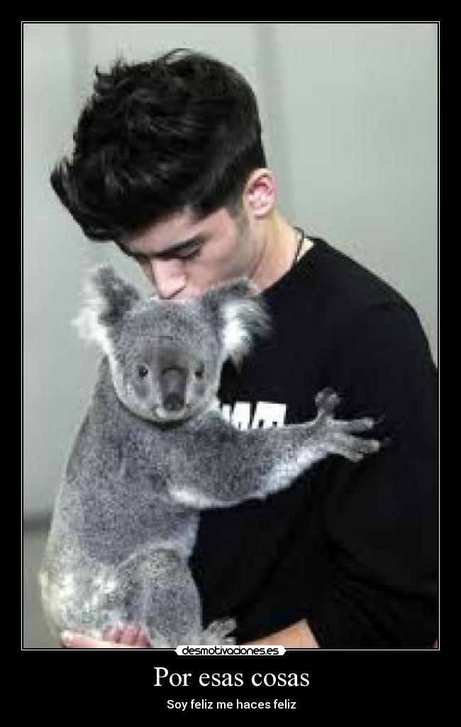 carteles love desmotivaciones