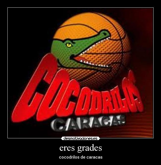 carteles cocodrilos caracas desmotivaciones