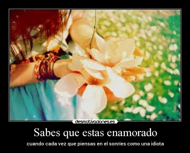 Sabes que estas enamorado - cuando cada vez que piensas en el sonríes como una idiota