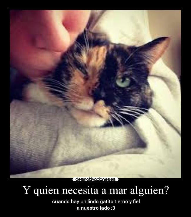 Y quien necesita a mar alguien? -